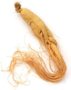 ginseng for ed